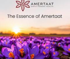 Unlock the Health Benefits of Saffron with Amertaat - 1