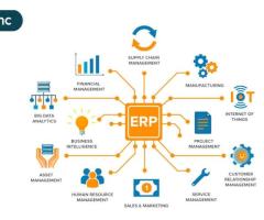 ERP Consultation Malaysia - Peppol Sync