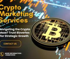 Navigating the Crypto Maze? Trust Bizvertex for Strategic Growth - 1