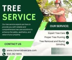 Reliable Tree Emergency in Sacramento – Cisneros Tree Care - 1