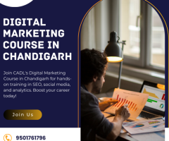 Digital Marketing Course in Chandigarh