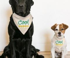 Cool Buddy Pet Bandana Collar