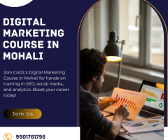 Digital Marketing Course In Mohali