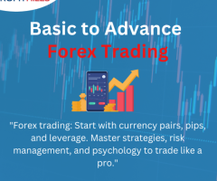 Basic to Advance Forex Trading