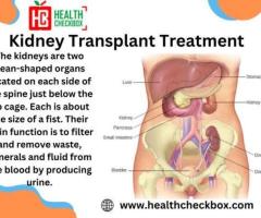 Kidney Transplant - 1