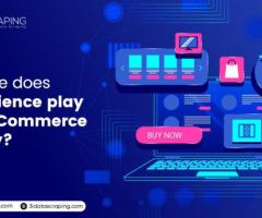 What Role Does Data Science Play in the eCommerce industry?