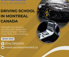 Driving School DDO – Expert Lessons & Convenient Scheduling