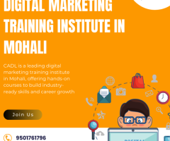 Digital Marketing Training Institute in Mohali