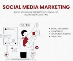 Best Digital Marketing Company in Udaipur – Digital Hammerr