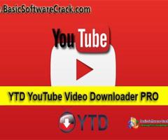 YTD Video Downloader Pro v5.9.19.2 Multilingual Portable Free Download