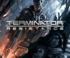 Terminator resistance