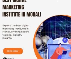 Best Digital Marketing Institute in Mohali