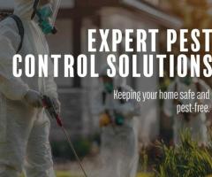 Pest Control Company Near Me - MDK Services | San Angelo, TX