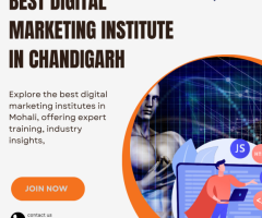 Best Digital Marketing Institute in Chandigarh - 1