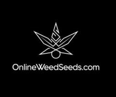 OnlineWeedSeeds.com