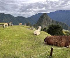 Cusco Travel Agency | Discover Peru with Qoricancha Expeditions - 1