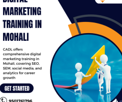 Digital Marketing Training in Mohali