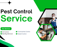 Swift and Reliable Pest Control in Emerald – Keep Your Home Pest-Free Today - 1