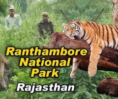 Ranthambhore Tour Packages Upto 30% Off - Book Now! - Trypdeals