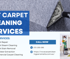 Revive Your Carpets with Carpet Cleaning Parramatta – Fast, Fresh, Professional - 1