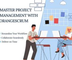 Best Project Management Software - Orangescrum - 1