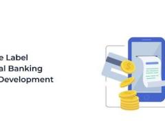 Bank on Antier for Exceptional White Label Digital Banking App Development Services - 1