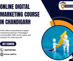 Online Digital Marketing Course In Chandigarh - 1