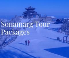 sonamarg tour packages