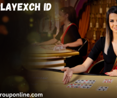 Elevate Your Betting Game with a Playexch ID