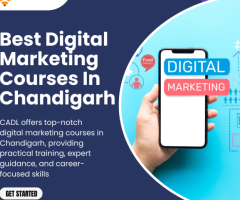 Best Digital Marketing Courses In Chandigarh - 1