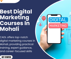 Best Digital Marketing Courses In Mohali - 1