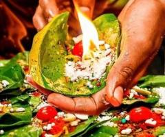 Get Best Paan Franchise Model In India - 1