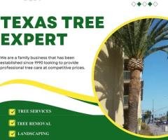 Top Tree Trimming Service in Houston – Texas Tree Expert