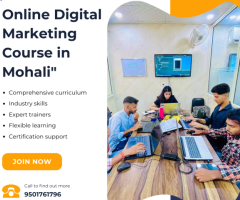 Online Digital Marketing Course in Mohali