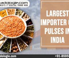 Largest Importer Of Pulses In India