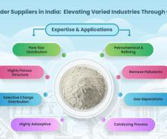 Zeolite Powder Manufacturers & Suppliers - 1