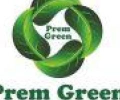 Best Mehendi for Hair for Natural Color and Care Prem Green - 1