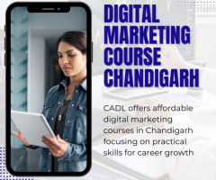 Digital Marketing Course Chandigarh