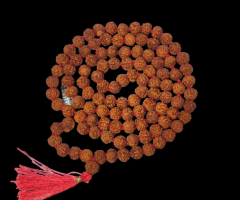 6 Mukhi Rudraksha Mala - 1