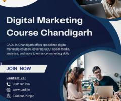 Digital Marketing Courses chandigarh