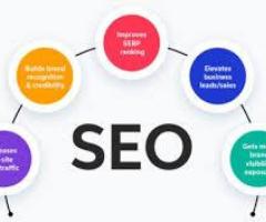 Hire SEO Company in Delhi for Higher Search Rankings