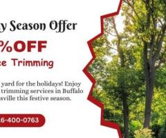 Holiday Season Special – 10% Off Professional Tree Trimming Services!