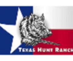 Choose from Exclusive Deer Hunting Packages in Texas