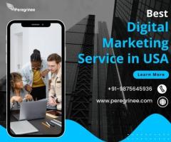 Peregrinee:- Best Digital Marketing Service in USA