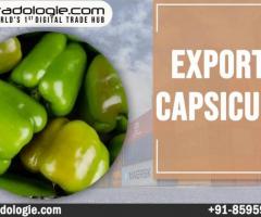 Export Capsicum