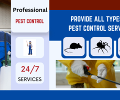 Professional Pest Control in Boronia – Call Now