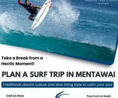 All Inclusive Surf Resort Mentawai