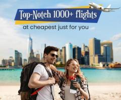 How to get discounts on domestic flight tickets? Call 1-760-999-7119 - 1