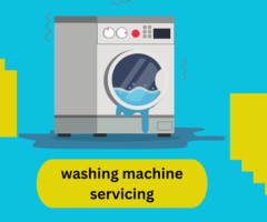 Washing Machine Servicing