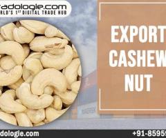 Export Cashew Nut